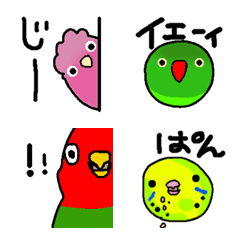 Cute and humorous parakeets