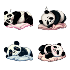 パンダ寝ている (6)