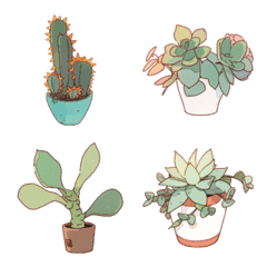 Variety of succulents 2