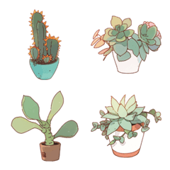 Variety of succulents 2