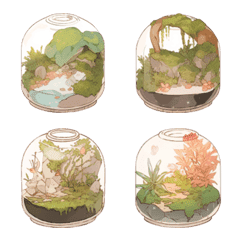 Various moss terrariums