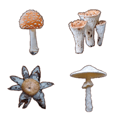 Kawaii Mushrooms Photo Emoji 2