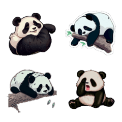 熊貓睡覺中 (11)