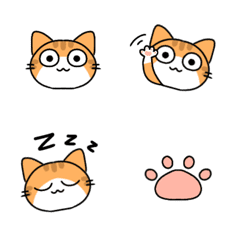 Khaichiao little orange cat