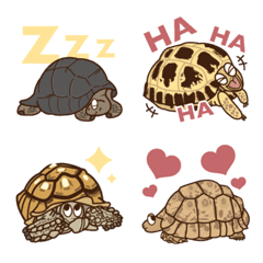 Tortoise emoji