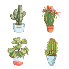 Cacti and succulents