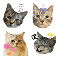 Cat face photo stamp