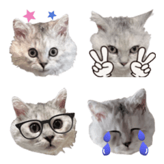 Emoji of Tororo