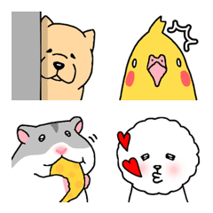 Cute Animal Emoji Every Day