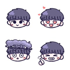 cute shorthair boy