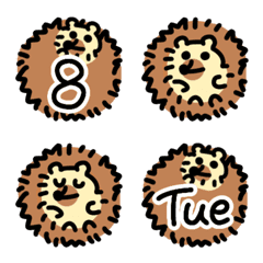 hedgehog schedule