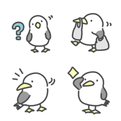 Black-tailed gull everyday emoji