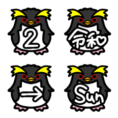 macaroni penguin schedule