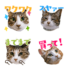 Mio Cat Emoji