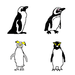 the penguins