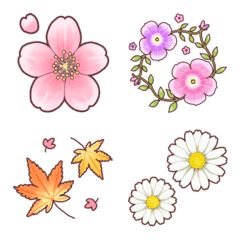seasonal plants and flowers