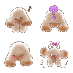 Toy poodle melody