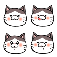 nekomiyabooko chan Emoji