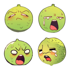 Fruit Stickers -grapefruit