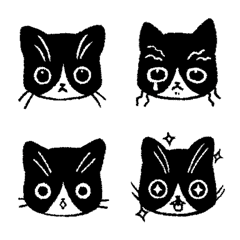 Bicolor Cat Torema