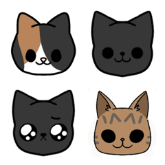 my cat family