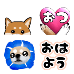 Emotion Emoji of many types of dogs