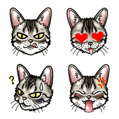 cat like Egyptian Mau9 Emoji