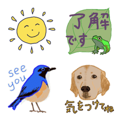 Kawaii Emoji with Japanese