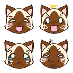 Siamese Cat Facial Expressions Revised