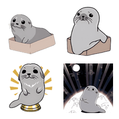 fur_seal_activity(2023 LET'S DRAW)