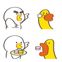 Interaksi antara ayam dan bebek ❤︎