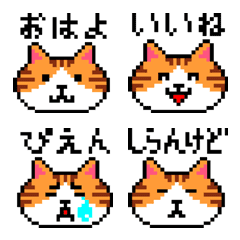 Everyday Tiger Cat - Dot Emoji