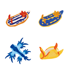 Nudibranch