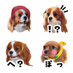 Cavalier Sisters Emoji 2