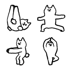 Fitness with yoga cats and funny friends