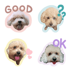 doggy stickers