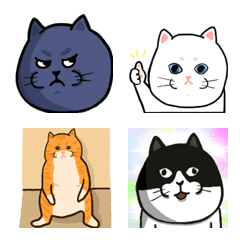 Many cats meow