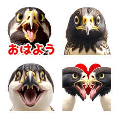 Hawk emoji