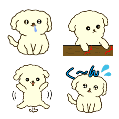 Moving white toy poodle Revised