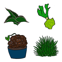 Living with plants 1