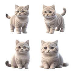 Charming Tabby Cat VOL.2
