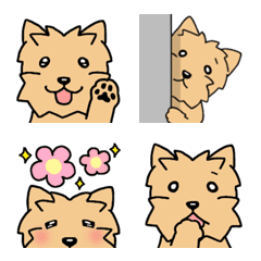 Dog Emoji Cairn Terrier