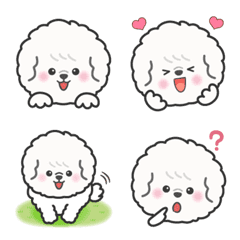 Emoji of Bichonfrise