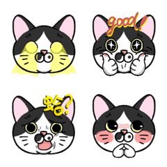 SSR Nana cat daily life