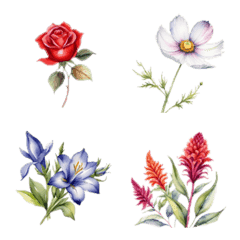 autumn flowers collection