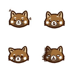 raccoon raccoon -Qi