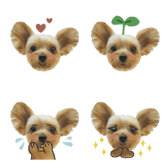 Yorkie_Pino_Emoji2