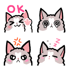 Emoji kucing ragdoll yang lucu!