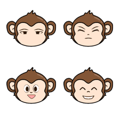 cute little monkey