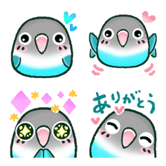 Moving ! button parakeet (Blue-chan)